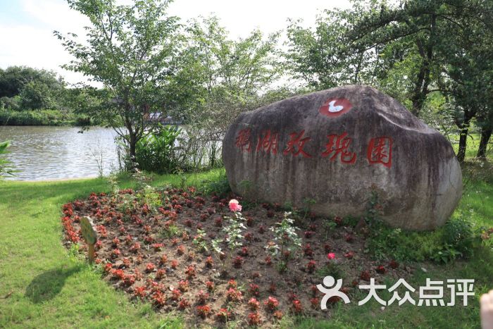 鹅湖玫瑰文化园图片 - 第183张