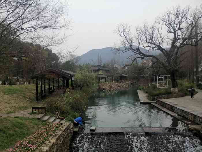 毛岙村生态村"毛岙生态村环境优美,因为是在半山上空气质.