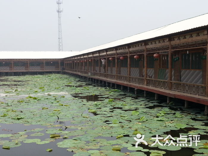 白洋淀景区图片 - 第4张