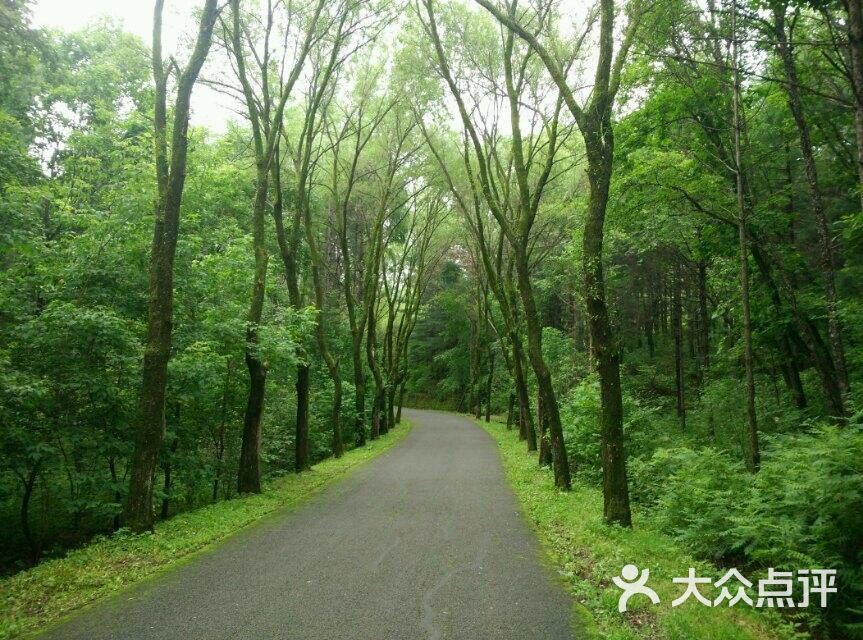 小兴安岭植物园图片 - 第31张