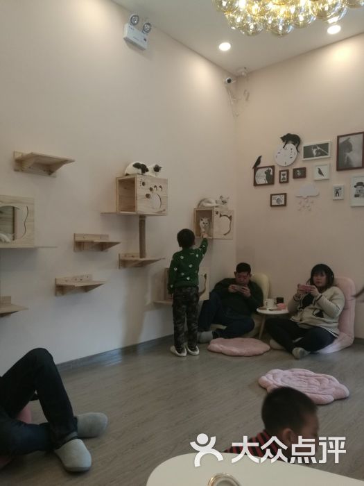 猫咖(万达广场店)图片 第1张