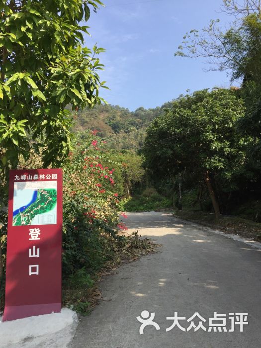九峰山农庄图片 第59张