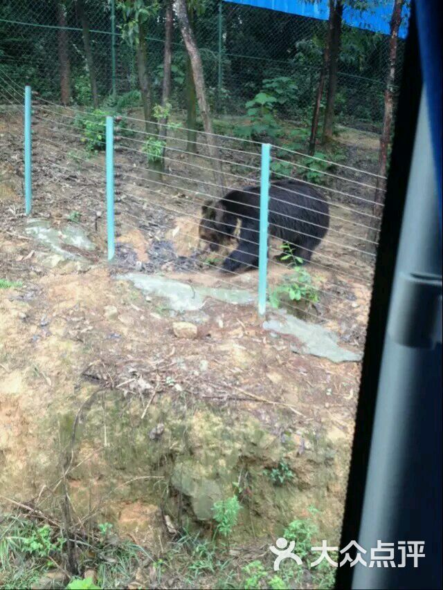 重庆野生动物世界