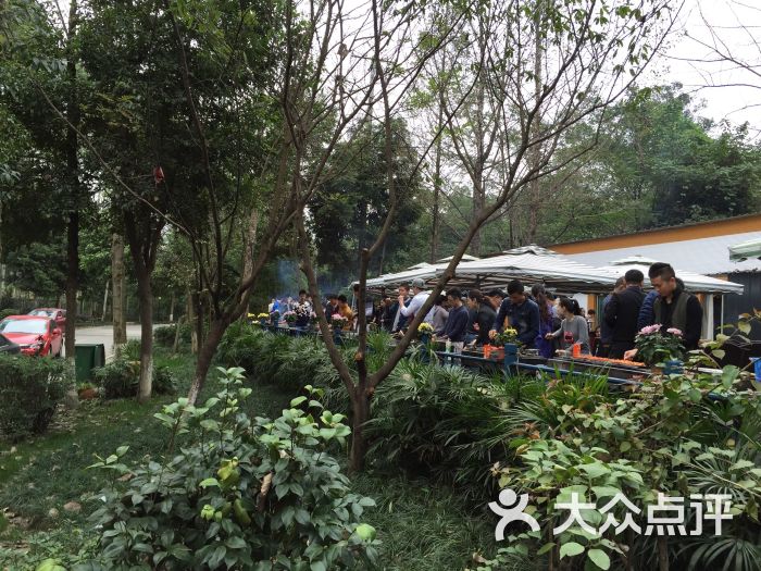 三圣乡白鹭湾湿地公园自助烧烤(三圣乡农家乐)图片 - 第16张