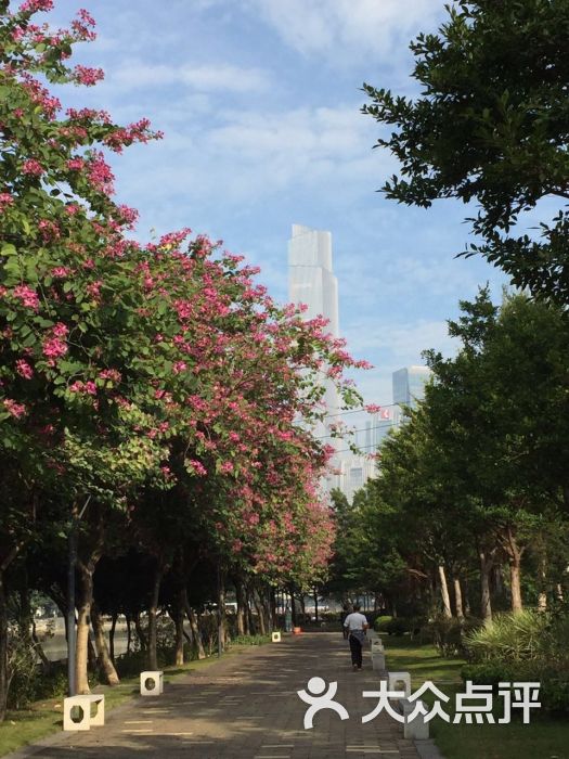 磨碟沙公园-图片-广州周边游-大众点评网