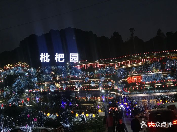 枇杷园食为鲜火锅--环境图片-重庆美食-大众点评网