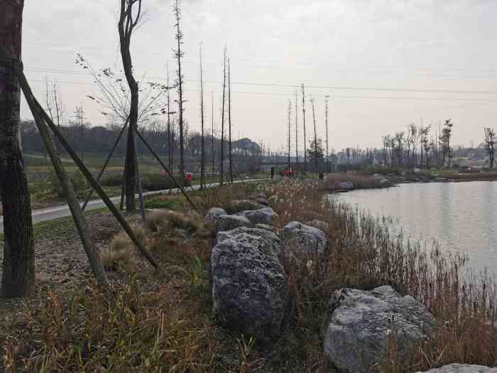 玉石湿地公园-"71玉石公园位于成都市龙泉驿区的.