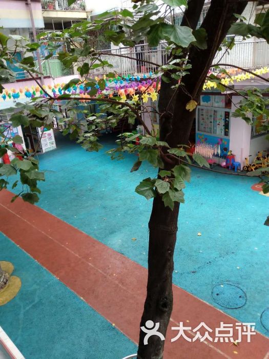 洋紫荆陶街幼儿园-图片-广州-大众点评网
