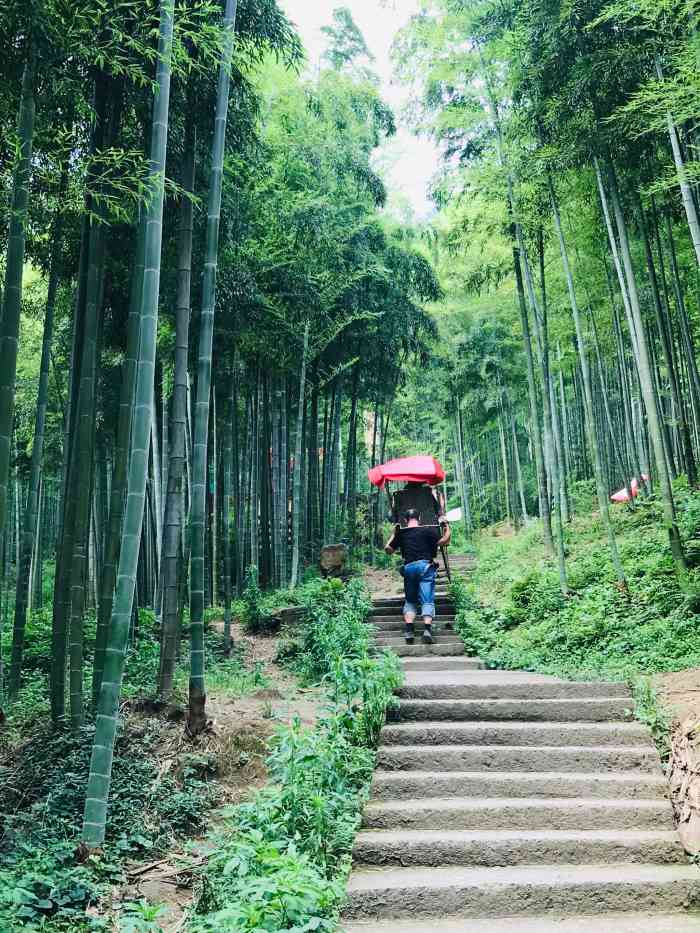 中国大竹海景区-"大竹海在浙江省湖州市安吉县.进入,.