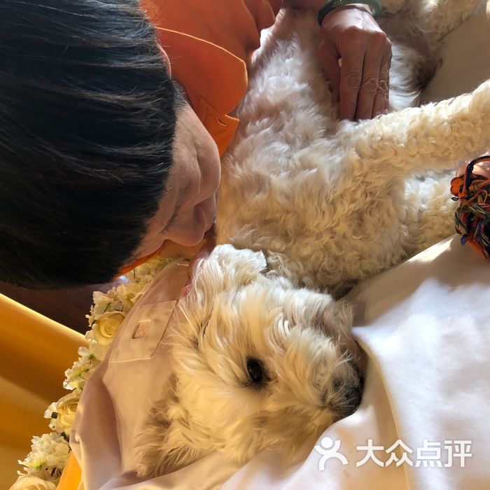 恩宠宠物火化宠物殡葬