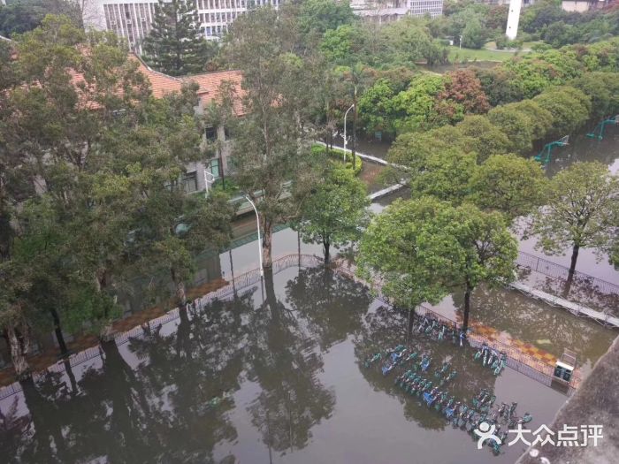 福建医科大学台江校区操场图片