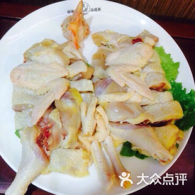 狮房菜鸡图片 - 第11张