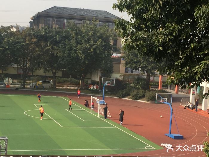 金科路小学校-图片-成都学习培训-大众点评网