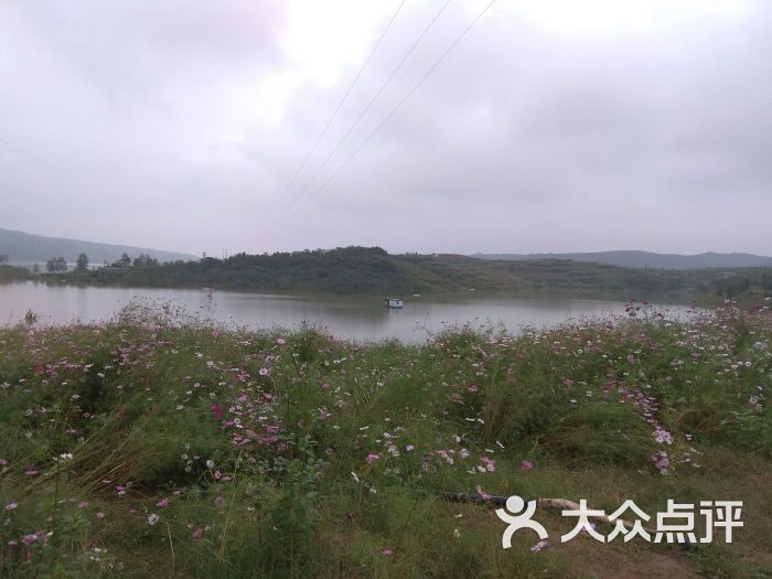 汉江绿谷花博会图片 - 第2张