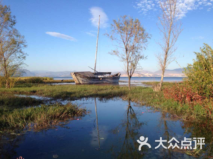 洱海月湿地公园图片 - 第384张