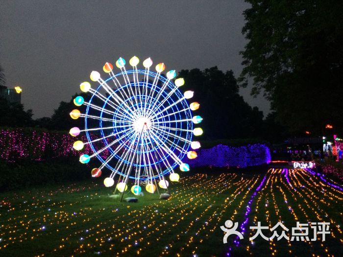 中国深圳观澜国际梦幻灯光节-图片-深圳景点