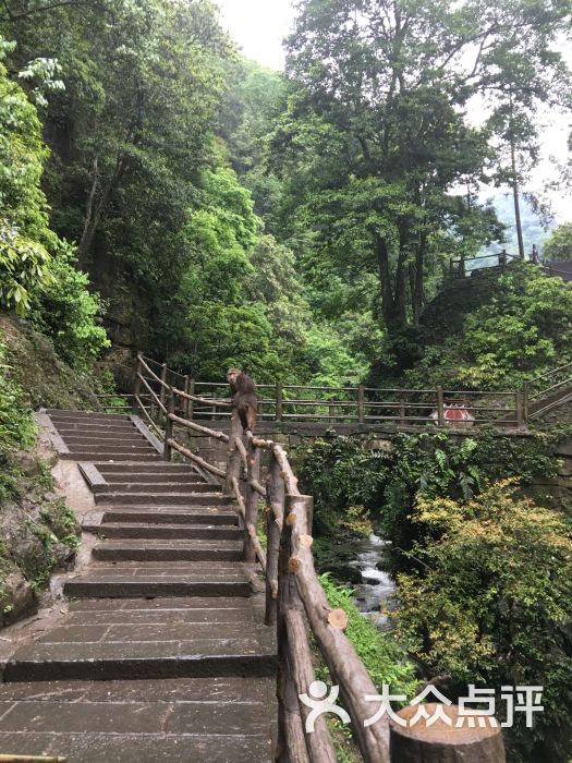 峨眉山市
