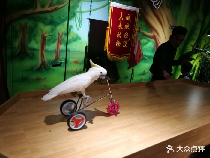 未来动物城主题公园图片 - 第32张