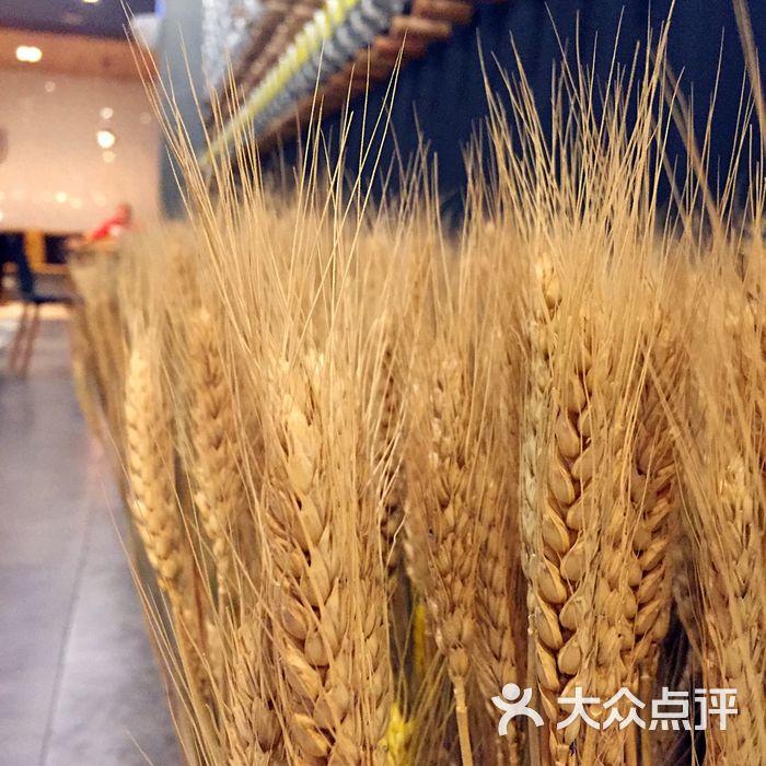 原麦生活wheat life