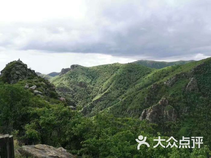 "哈达门国家森林公园"的全部点评 - 武川县景点/周边