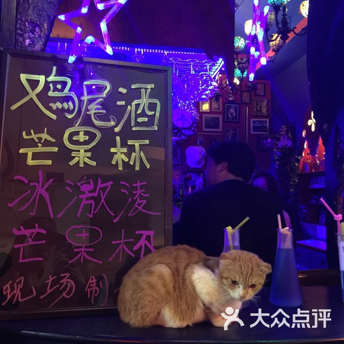 星宿秘码咖啡小酒馆(鼓浪屿老店)招财猫图片 第727张