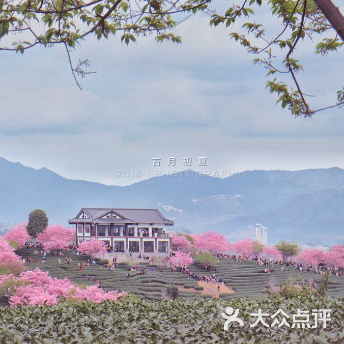 永福樱花园