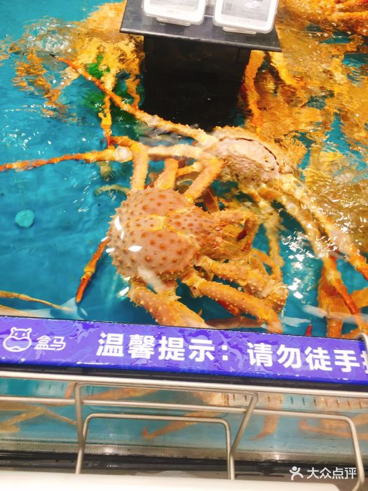 盒马鲜生(新江湾店)海鲜图片 - 第1026张