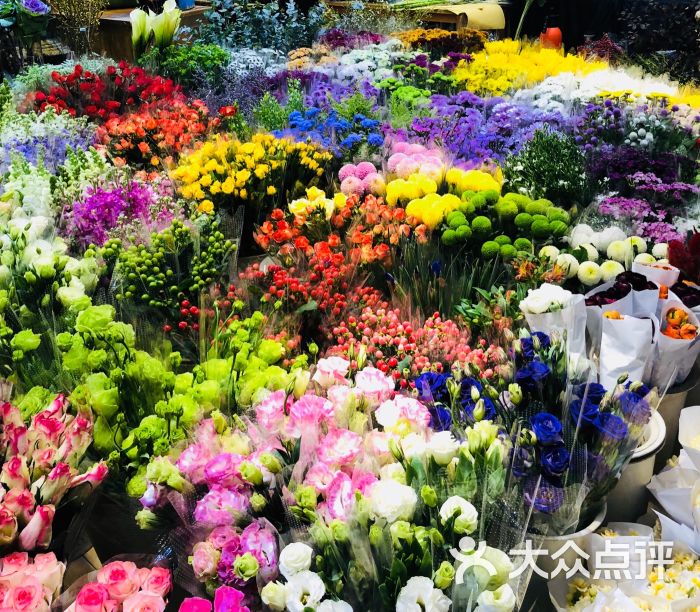 虹桥花卉市场-图片-上海购物-大众点评网