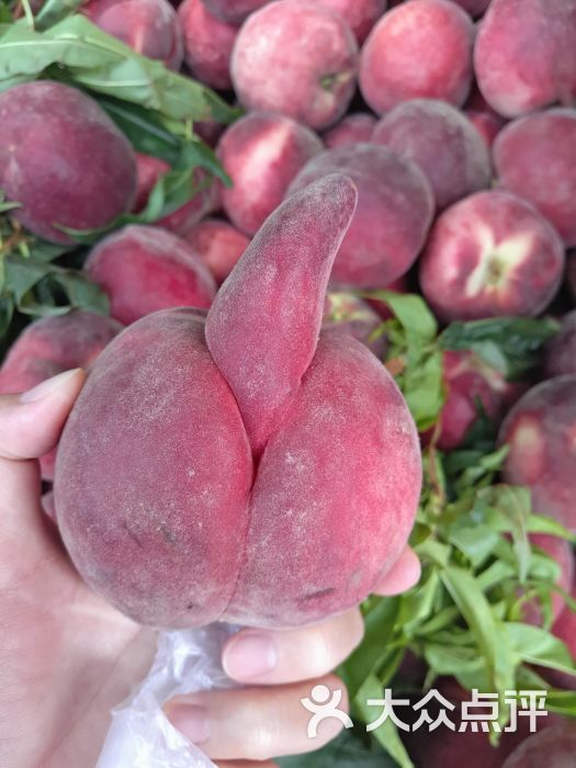 位置:镇江路菜市场往北一点点,距离体育街.-兴