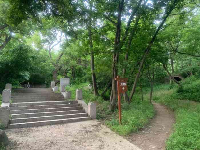 浮山森林公园