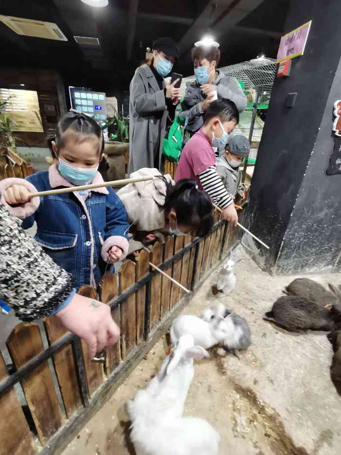 卡尔的萌宠庄园-"今天带孩子来卡尔萌宠乐园玩,女儿两岁7个.