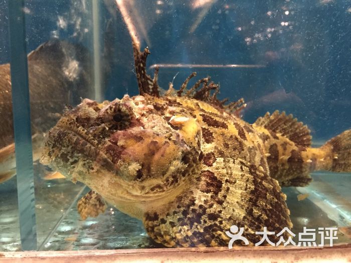 宝燕壹号海鲜餐厅_海信·海景壹号_海景壹号海鲜大酒店