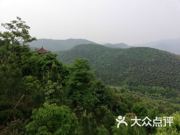鲤龙潭森林公园-图片-象山周边游-大众点评网