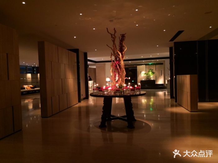 佛山罗浮宫索菲特酒店(sofitel foshan)图片