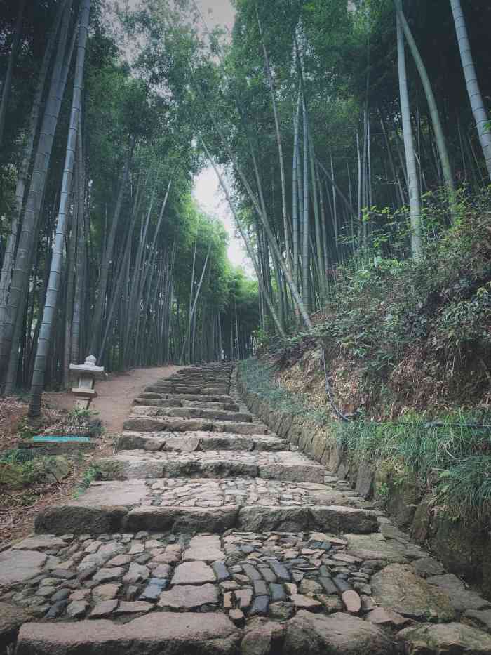 径山古道-"古道悠长,林木幽深,蜿蜒曲折,独具匠心 ."-大众点评移动版