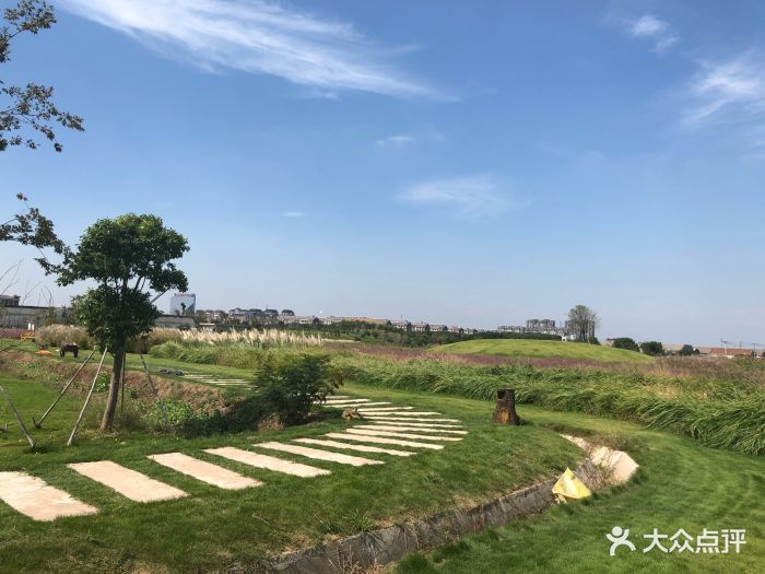 满庭芳郊野花园图片 - 第44张