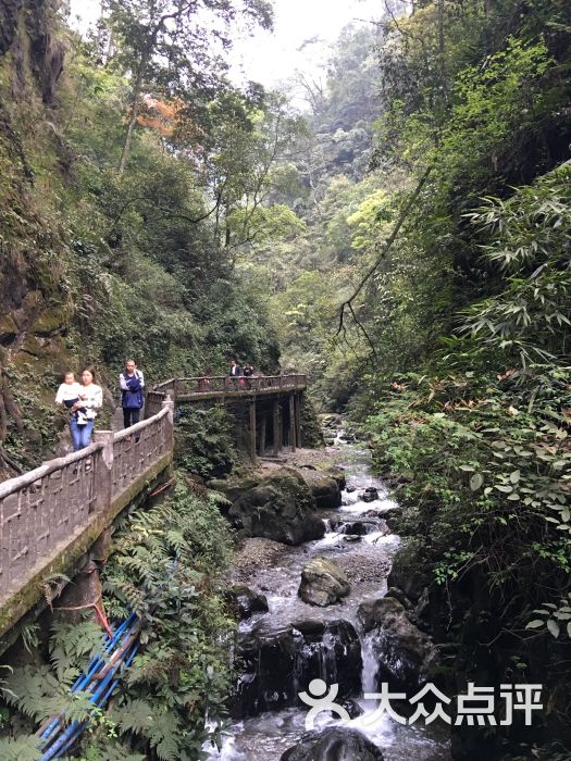 峨眉山景区-图片-峨眉山市周边游-大众点评网