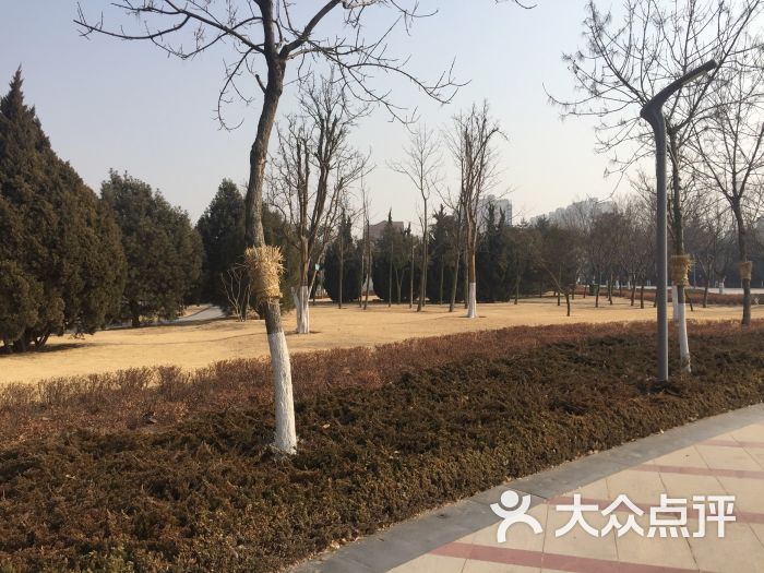 双珠公园图片 第11张