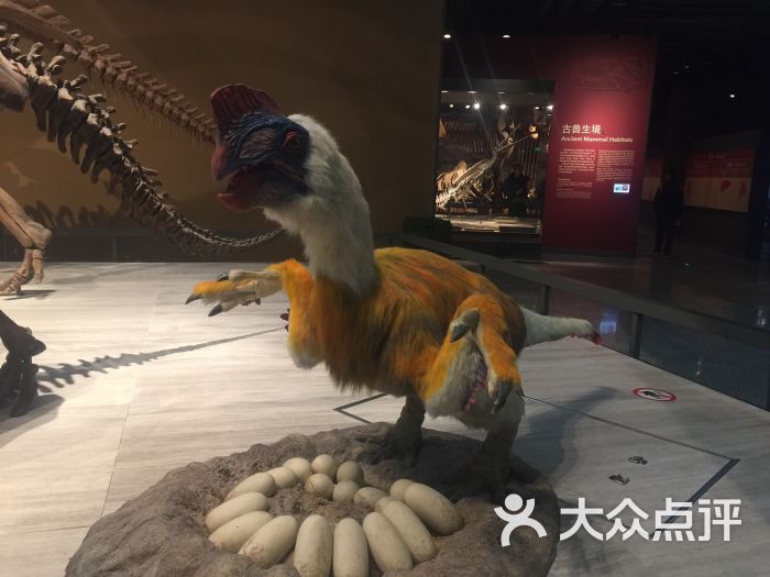自然博物馆地铁站-图片-上海生活服务-大众点评