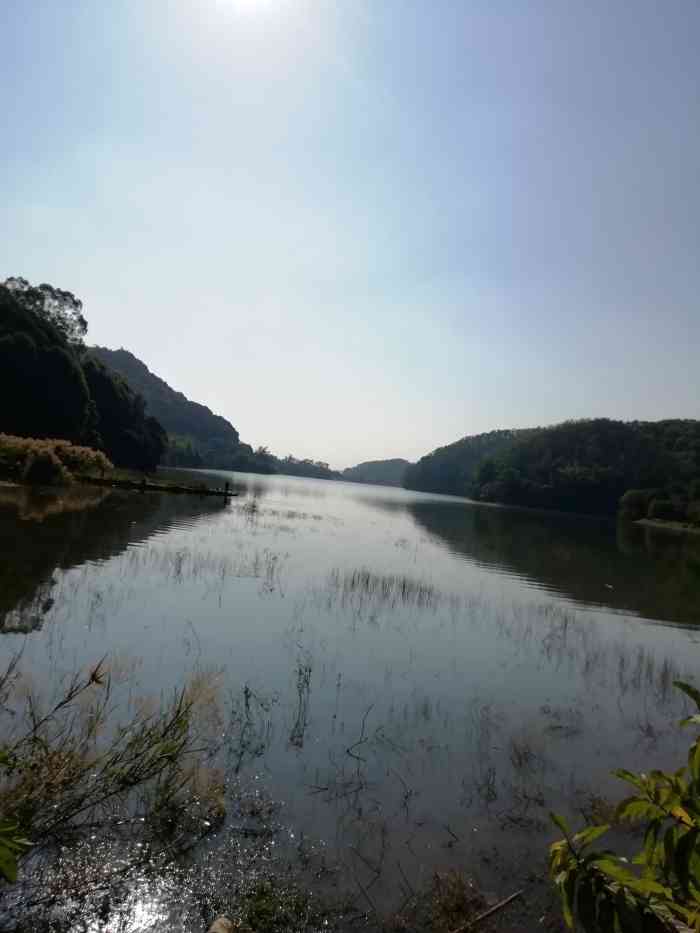 龙洞水库(筲箕窝水库)-"在筲箕窝水库堤坝上散步,无意