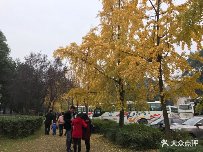 电子科技大学(沙河校区)图片