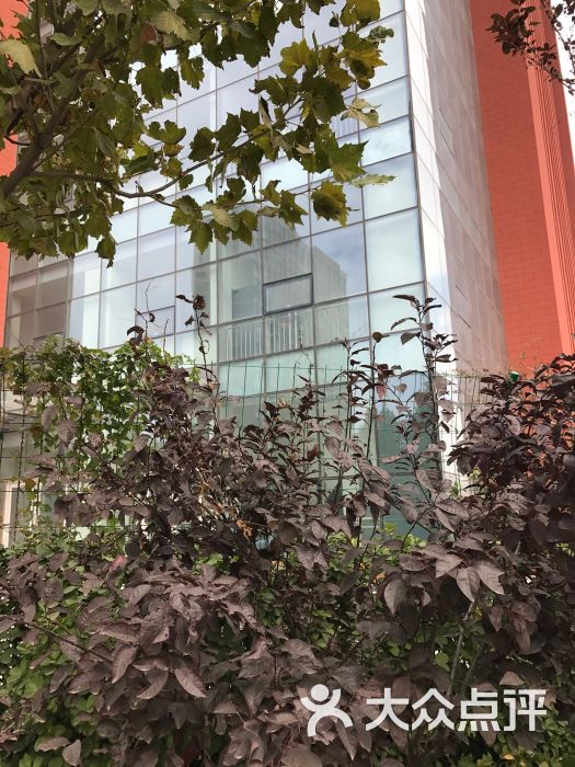 潍坊学院(安顺校区)图片 - 第2张