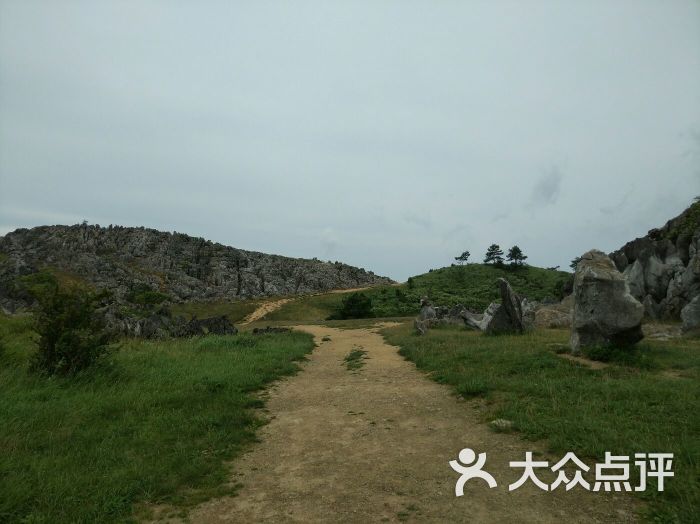 千野草场景区图片 - 第6张