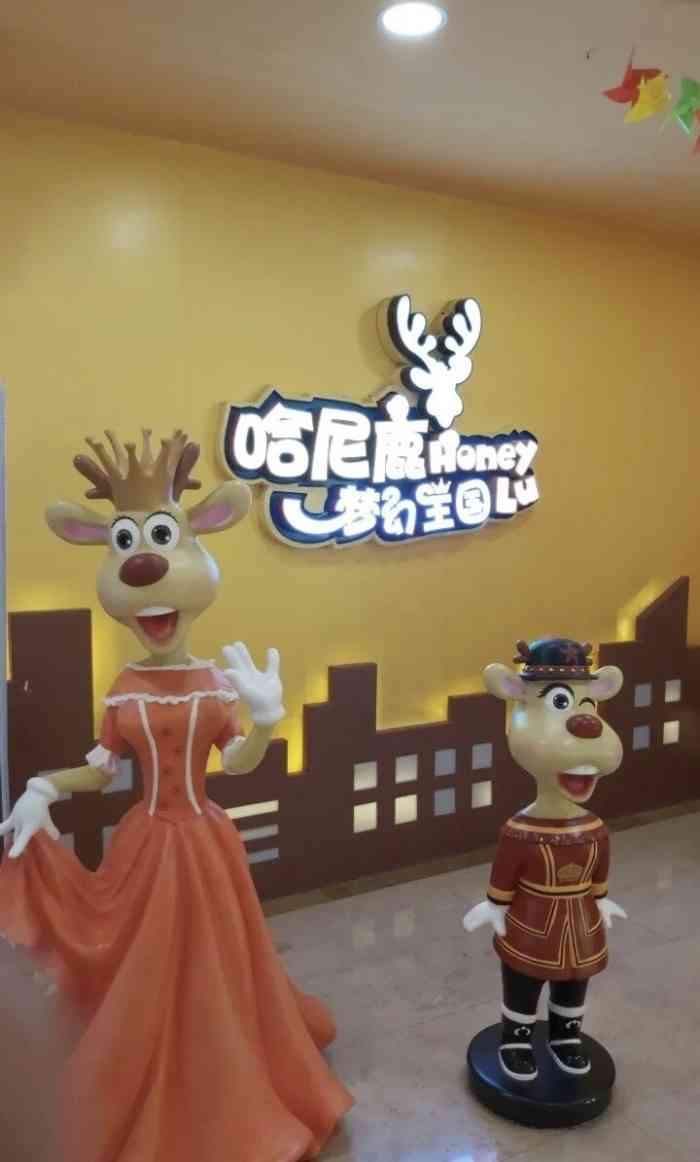 哈尼鹿儿童梦幻王国-"新开一两年的样子吧.之前远东的