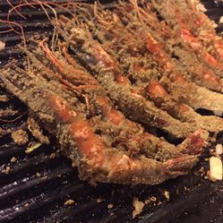 <em>貂皮短裤</em>的主页-会员-大众点评网