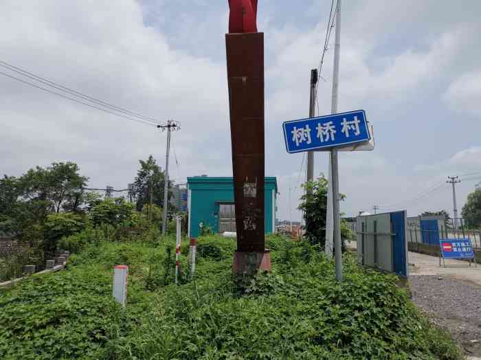 树桥村文化礼堂"浙江新农村的环境已经和城区街道小区不相上.