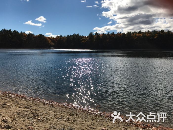 瓦尔登湖-图片-美国景点-大众点评网