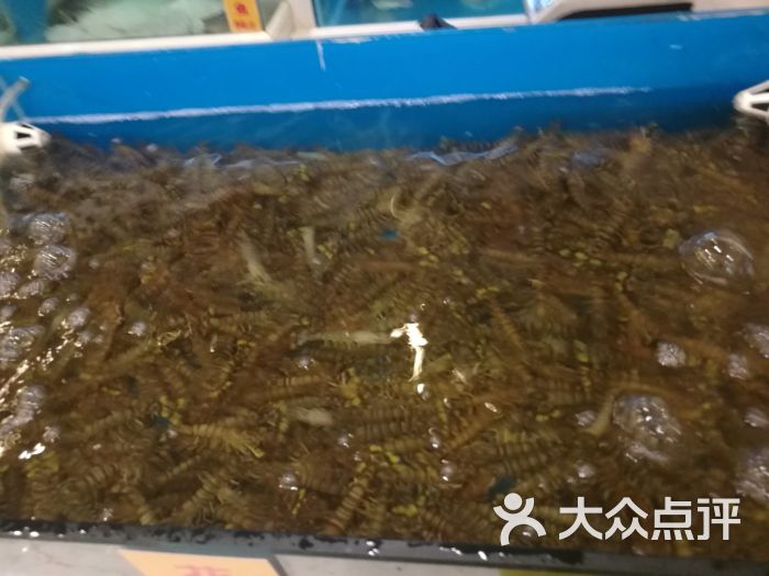 大连海鲜(胜利路店)-图片-西宁美食-大众点评网