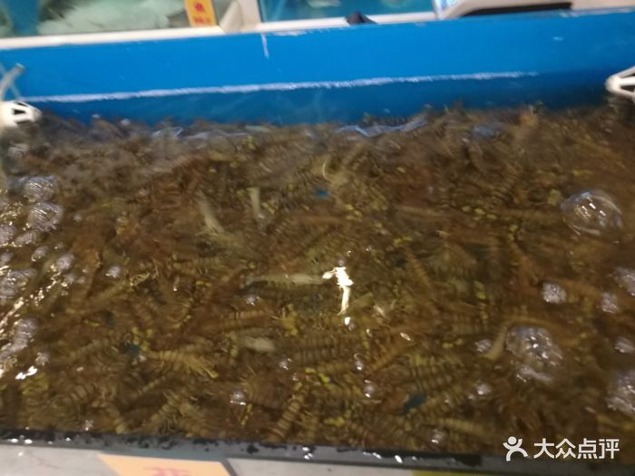 大连海鲜(胜利路店-图片-西宁美食-大众点评网