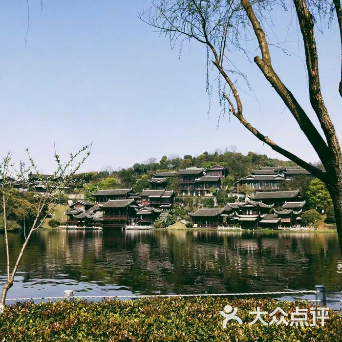 重庆园博园图片-北京植物园-大众点评网